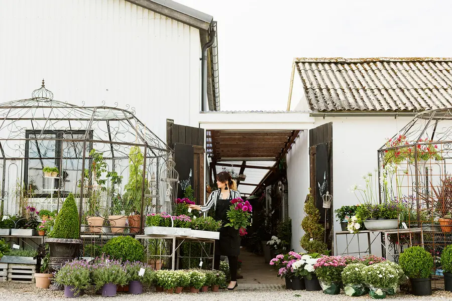 Área verde con plantas y flores